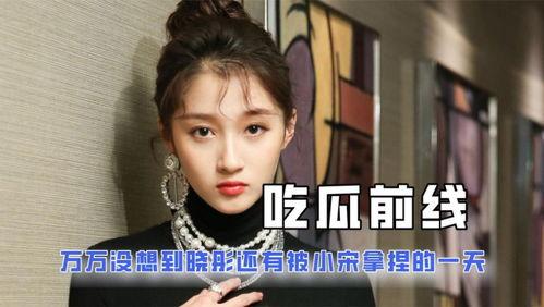 关于娱乐圈的吃瓜小说,幕后风云,瓜田乱舞